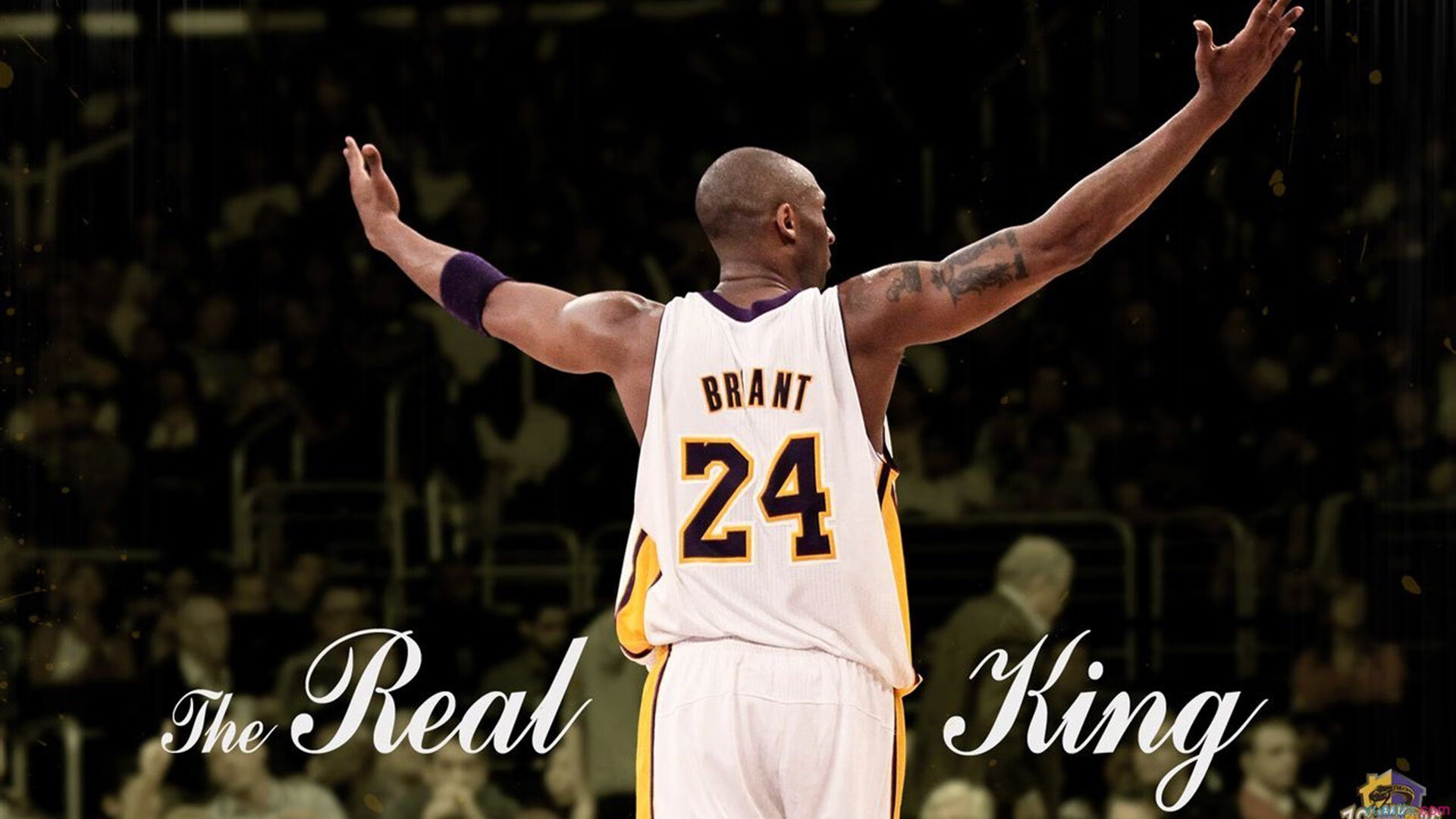 广告赞助商助力台球赛事蓬勃发展