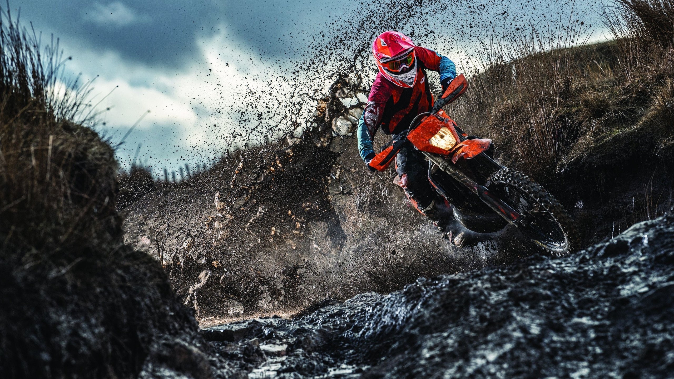 悉尼国王攻防转换效率提升，悉尼国王vs墨尔本联队比分